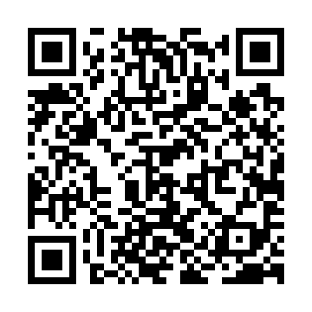 QR code for RIT799