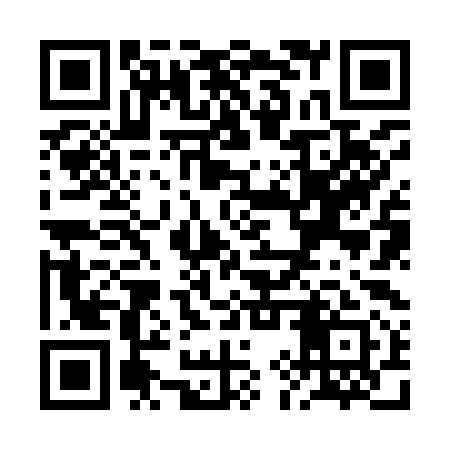 QR code for RIZ991