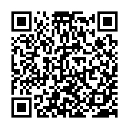 QR code for RKS381