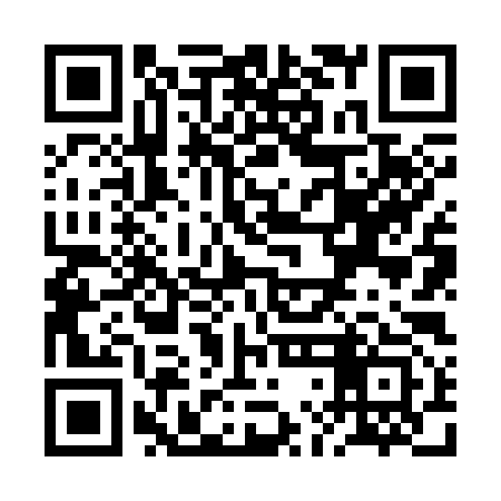 QR code for RLN393