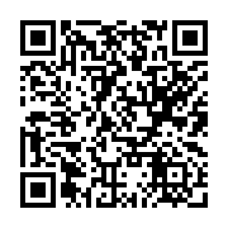 QR code for RLZ991
