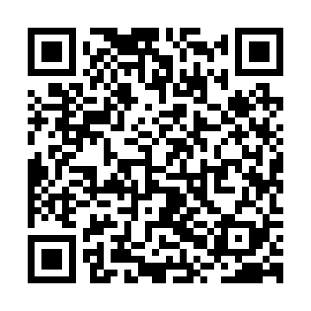 QR code for RPI229