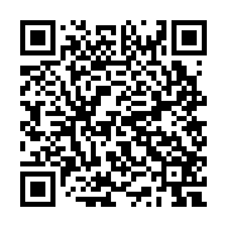 QR code for RSG306