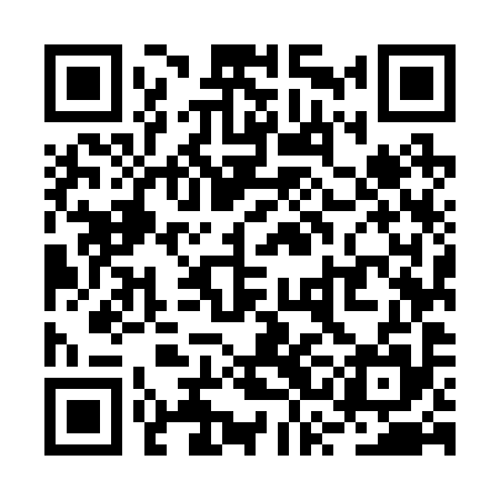 QR code for RSM295