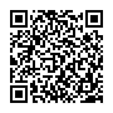 QR code for RUM336