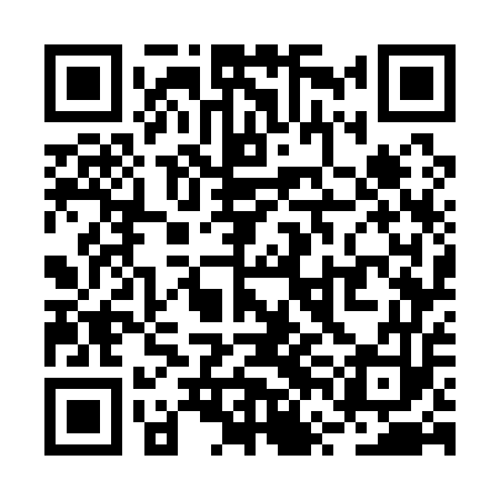QR code for RVG153