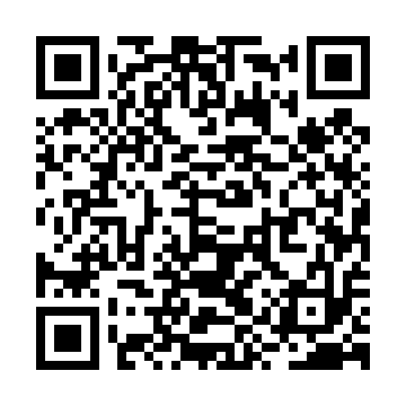 QR code for RYU413