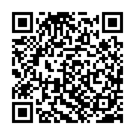QR code for RZH301