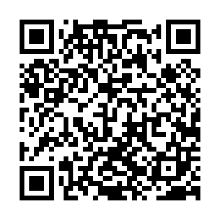 QR code for RZT003