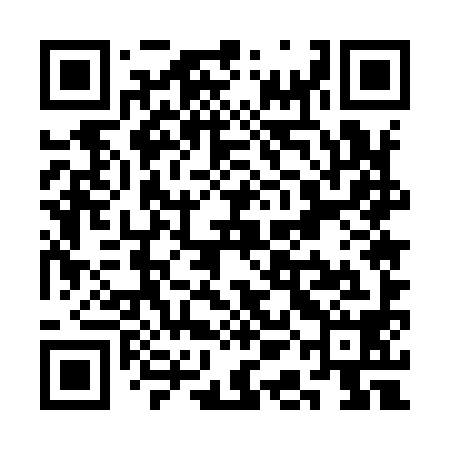 QR code for SAE998