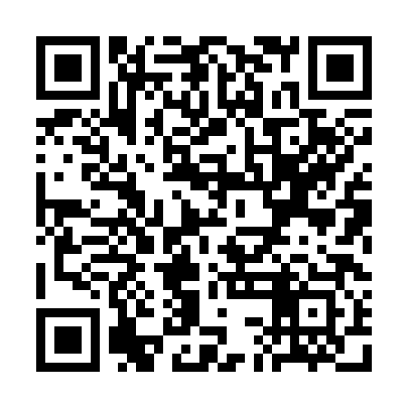 QR code for SCH383
