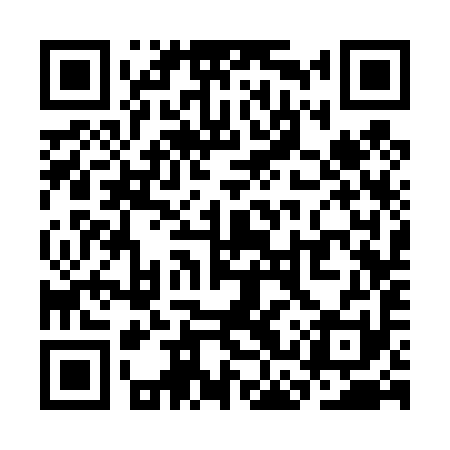 QR code for SCS491
