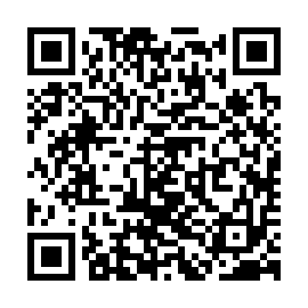 QR code for SDB313