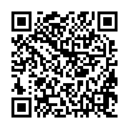 QR code for SDG296