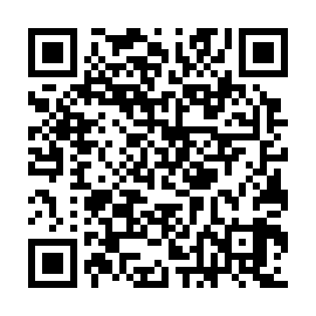 QR code for SDG309