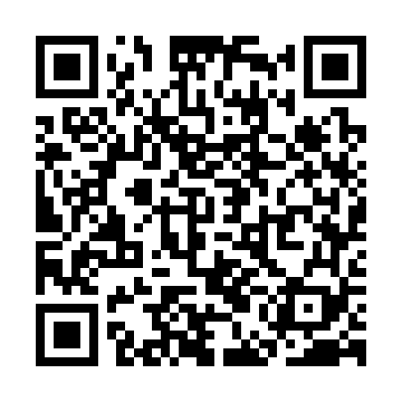 QR code for SEG369
