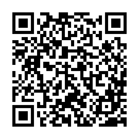 QR code for SEX386