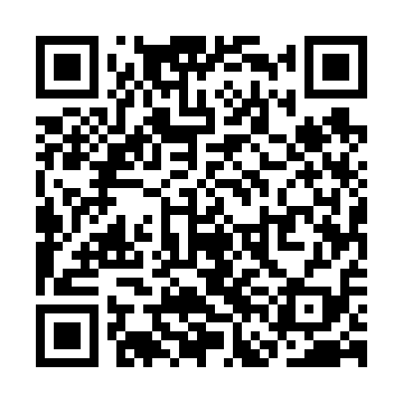 QR code for SFE619