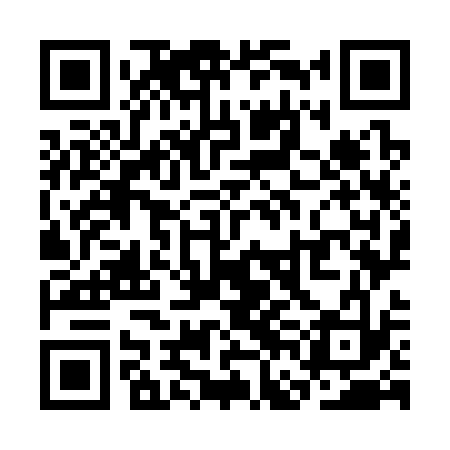 QR code for SFO333