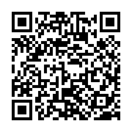 QR code for SFR038