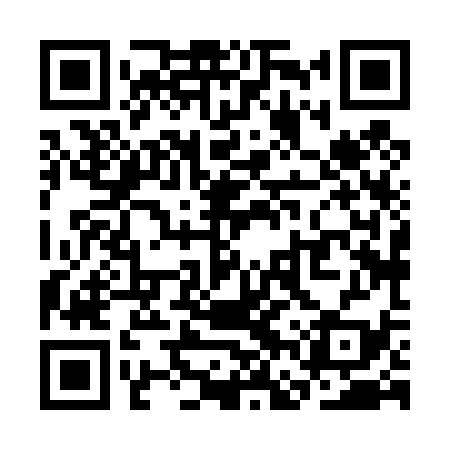 QR code for SFX439