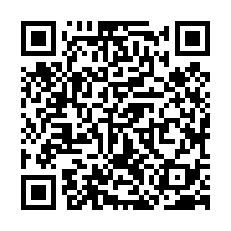 QR code for SGJ439