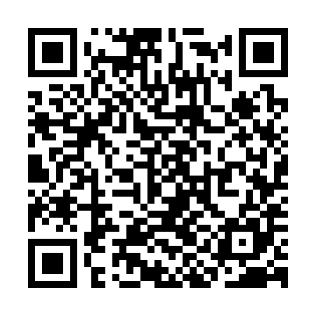 QR code for SIG385