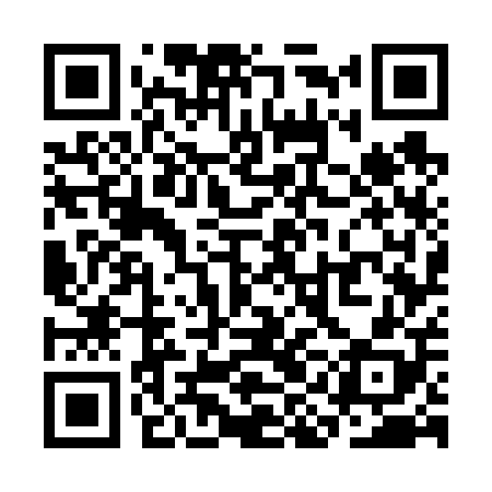 QR code for SIG608