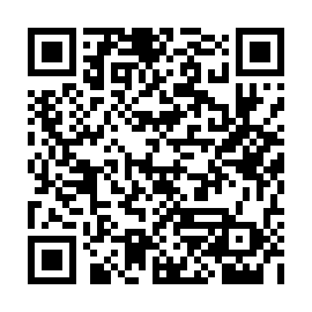 QR code for SJH838