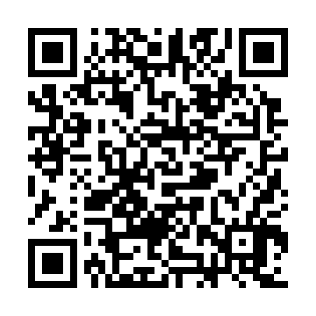 QR code for SJZ306