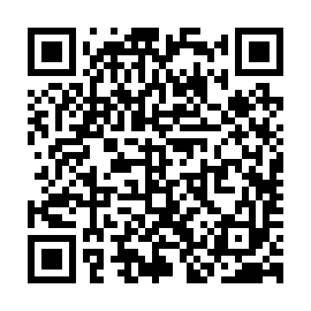 QR code for SKR293