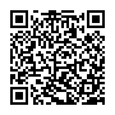 QR code for SLV002