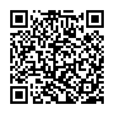 QR code for SLV091