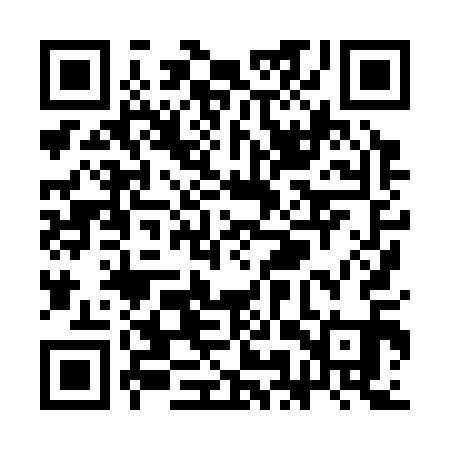 QR code for SMX311
