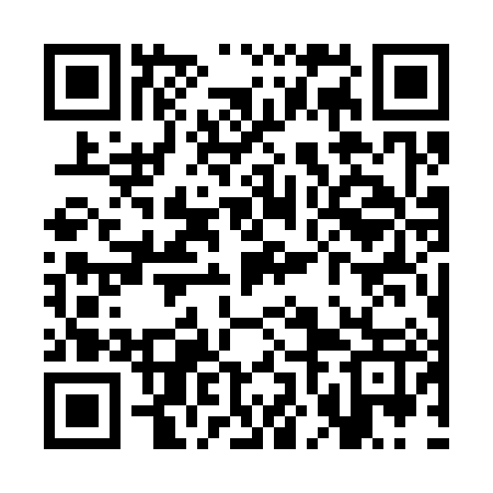 QR code for SNG387