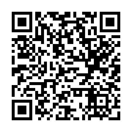 QR code for SOY383