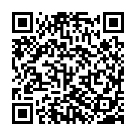 QR code for SPJ318