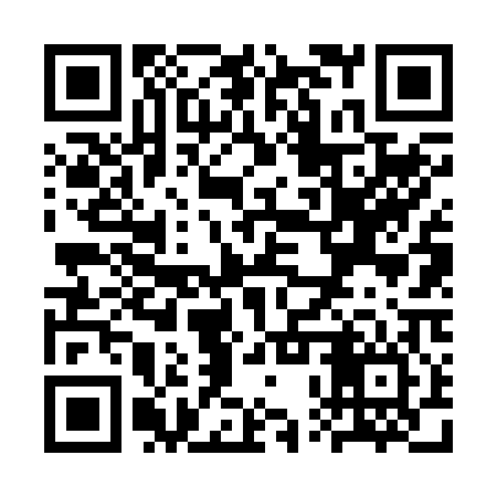 QR code for SPV206
