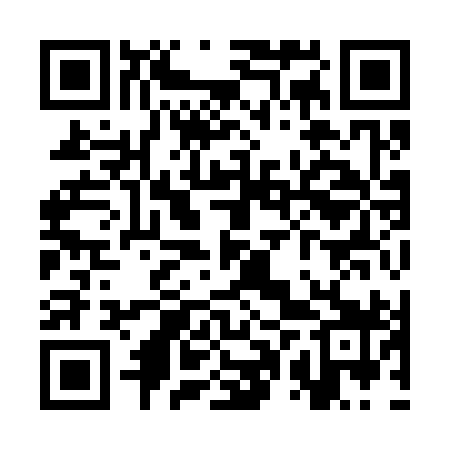 QR code for SPY399