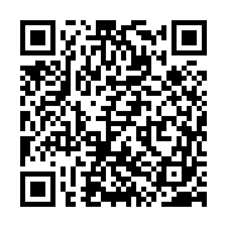 QR code for STI863