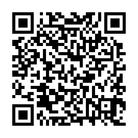 QR code for SVT381