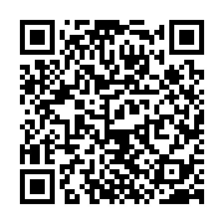 QR code for SVV339