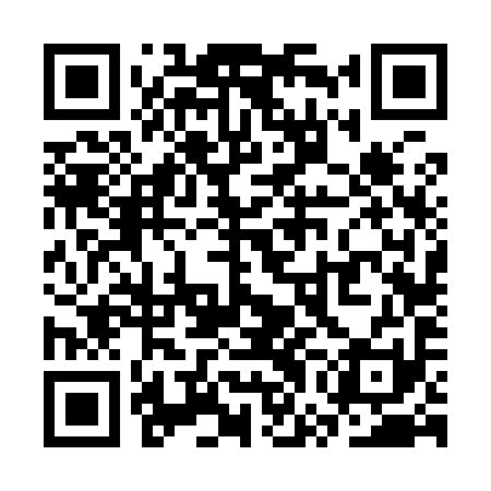 QR code for SWF991