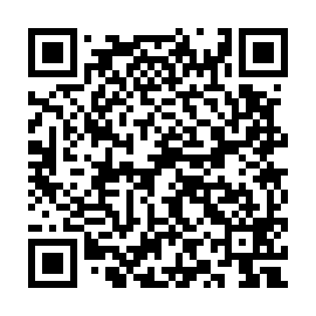 QR code for SYS599