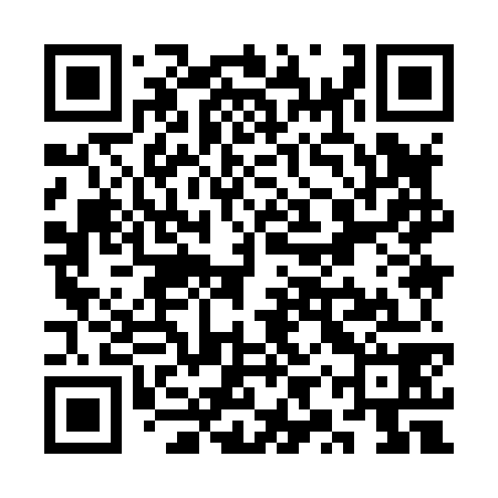 QR code for SYY878