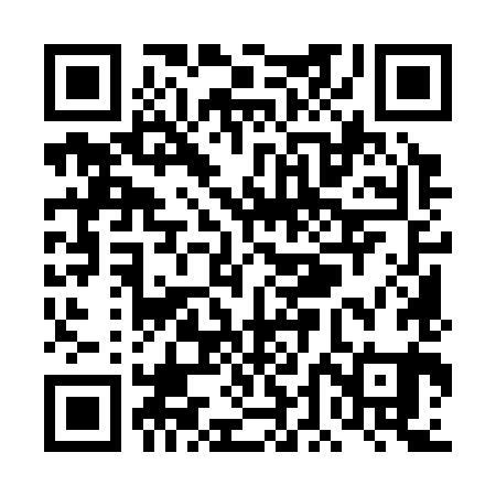 QR code for TDM381