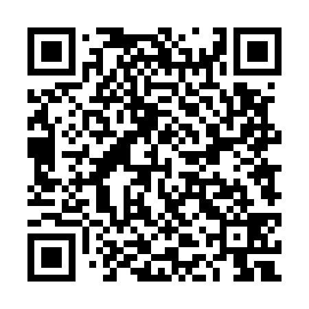 QR code for TDT539