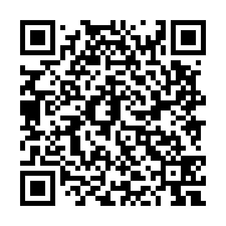 QR code for TDX539