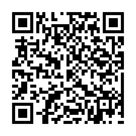 QR code for TFR383