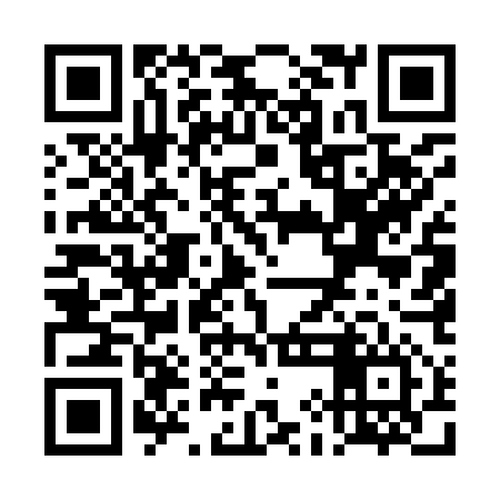 QR code for TIE956